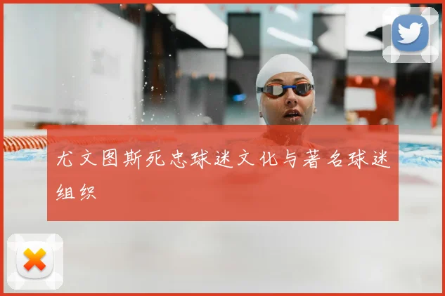 尤文图斯死忠球迷文化与著名球迷组织