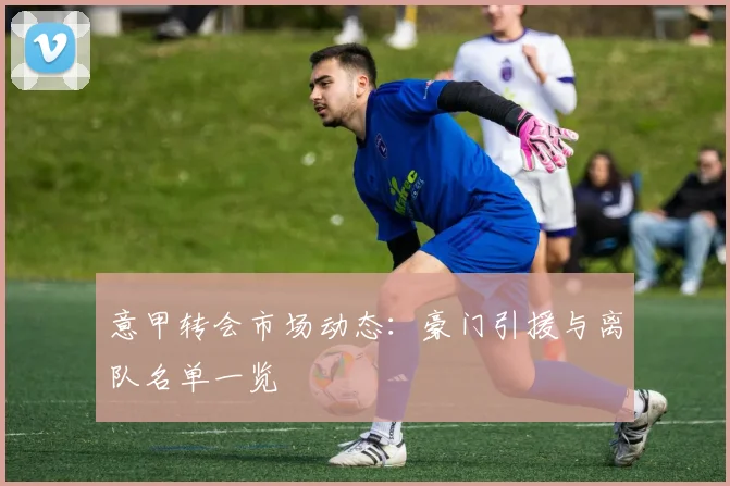 意甲转会市场动态：豪门引援与离队名单一览